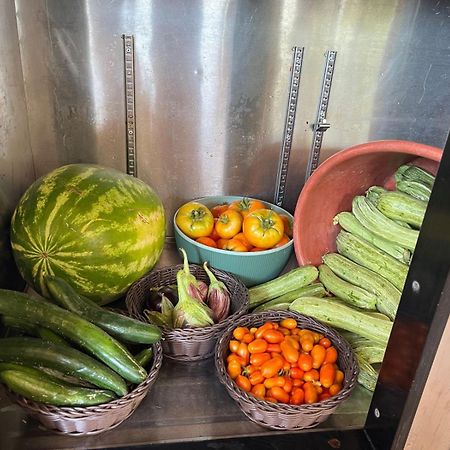 Eco Glamping With Pool Between Nafplio And Argos Ngoại thất bức ảnh