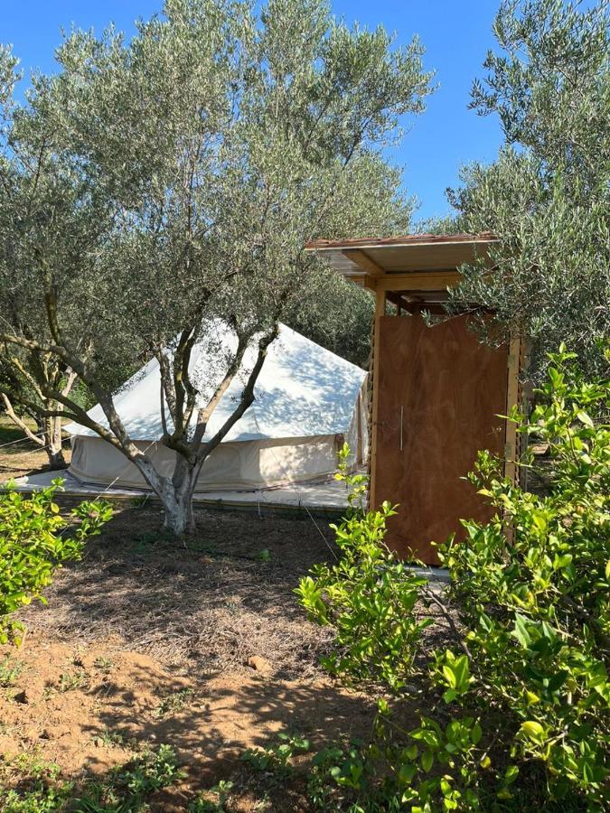 Eco Glamping With Pool Between Nafplio And Argos Ngoại thất bức ảnh