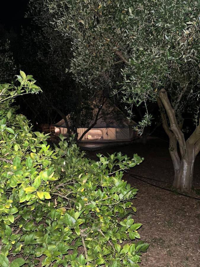 Eco Glamping With Pool Between Nafplio And Argos Ngoại thất bức ảnh